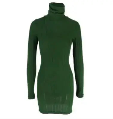 Sexy Black Turtleneck Mini Dress - PROVYLO